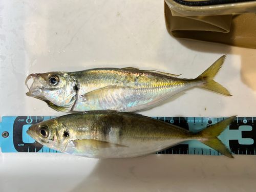 小名浜港市場前