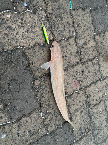 鞠山海遊パーク