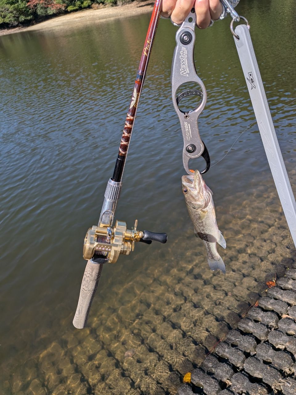 fenwick リンクス ヨシダバージョン リンクス LINKS60Y-CMLJの最安値