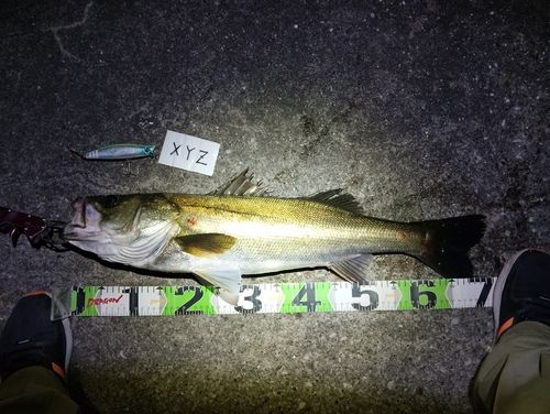 千葉港中央埠頭