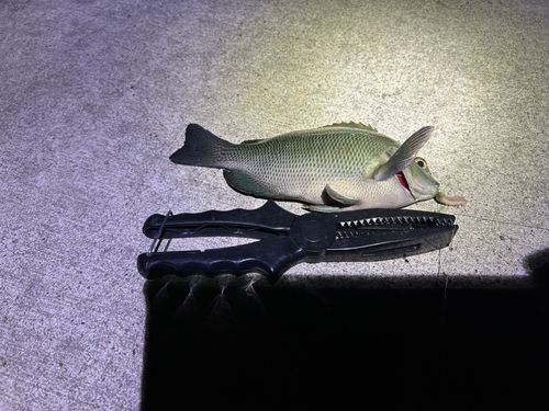 金沢水際線緑地（福浦岸壁）