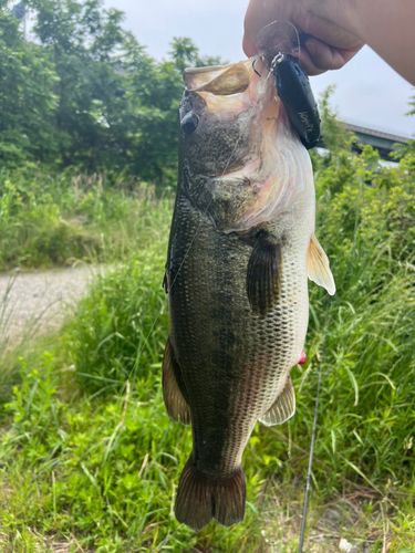 海老名運動公園