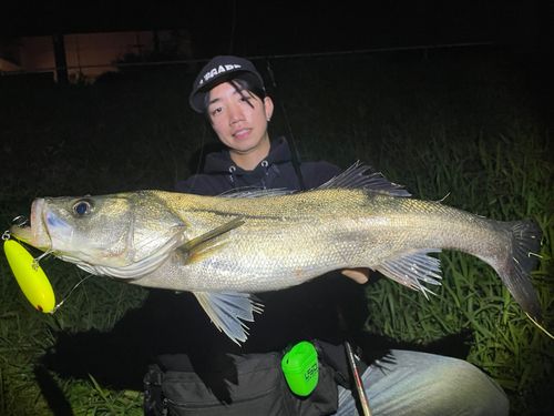 東京湾（アクアライン以北）