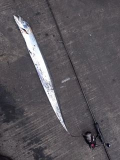 タチウオの釣果