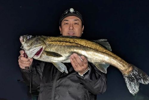 千葉港中央埠頭