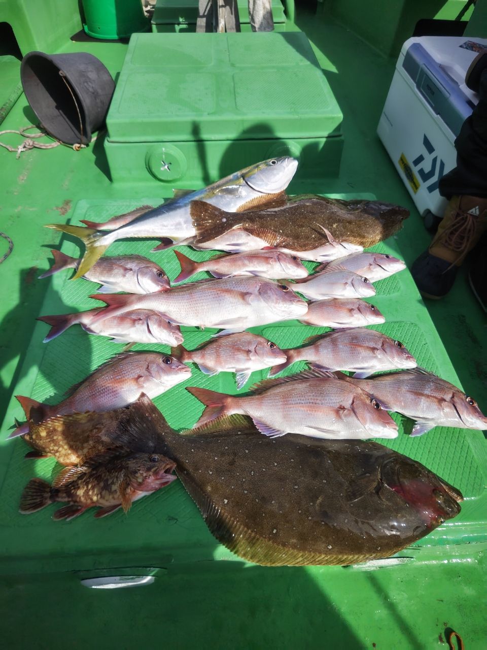 第三豊丸　日立久慈港さんの釣果 2枚目の画像