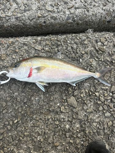 野見潮ばかり公園