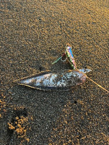 辻堂海浜公園前