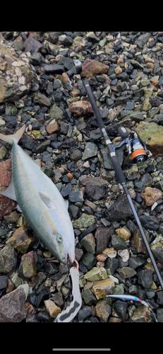 日明海峡釣り公園