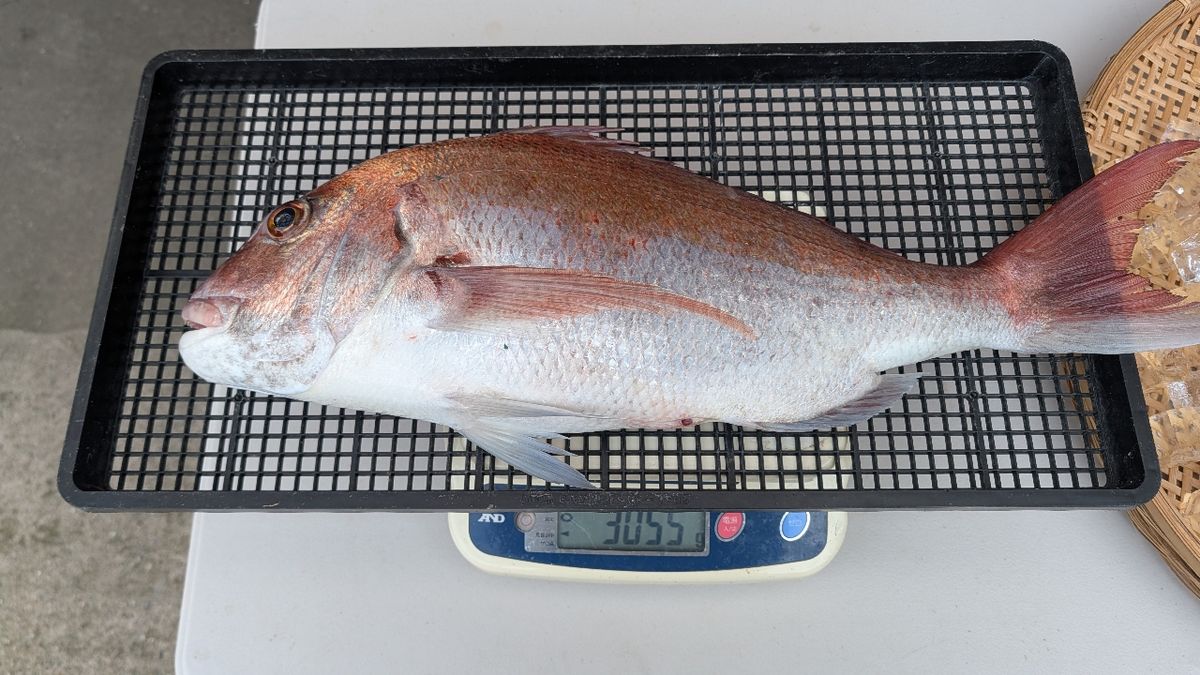 kazuwooさんの釣果 1枚目の画像