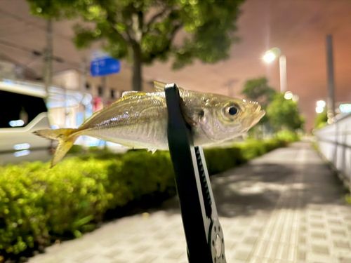 横浜ベイサイドマリーナ付近