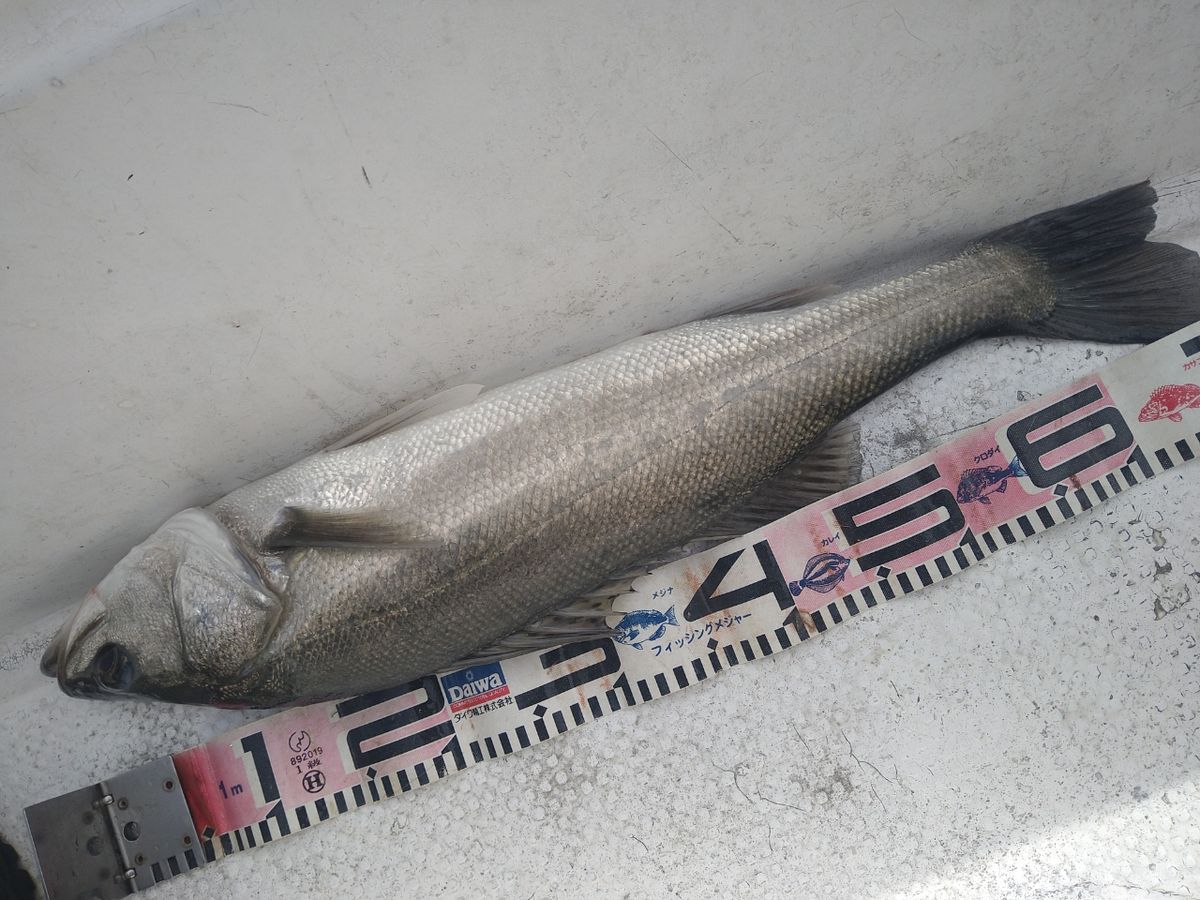 松村健治 遊漁船Ocean's船長さんの釣果 2枚目の画像