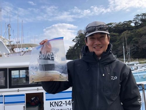 ヤリイカの釣果