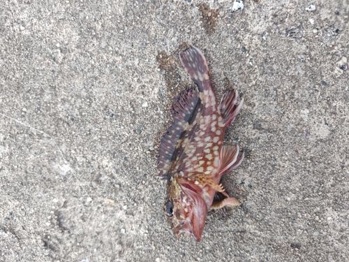 知多半島野池群