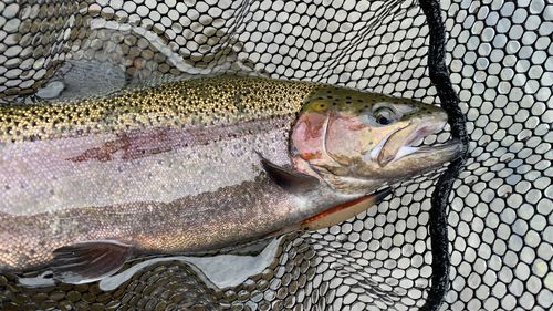 すそのフィッシングパーク