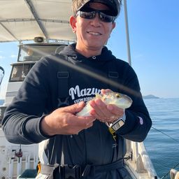 ショウサイフグ