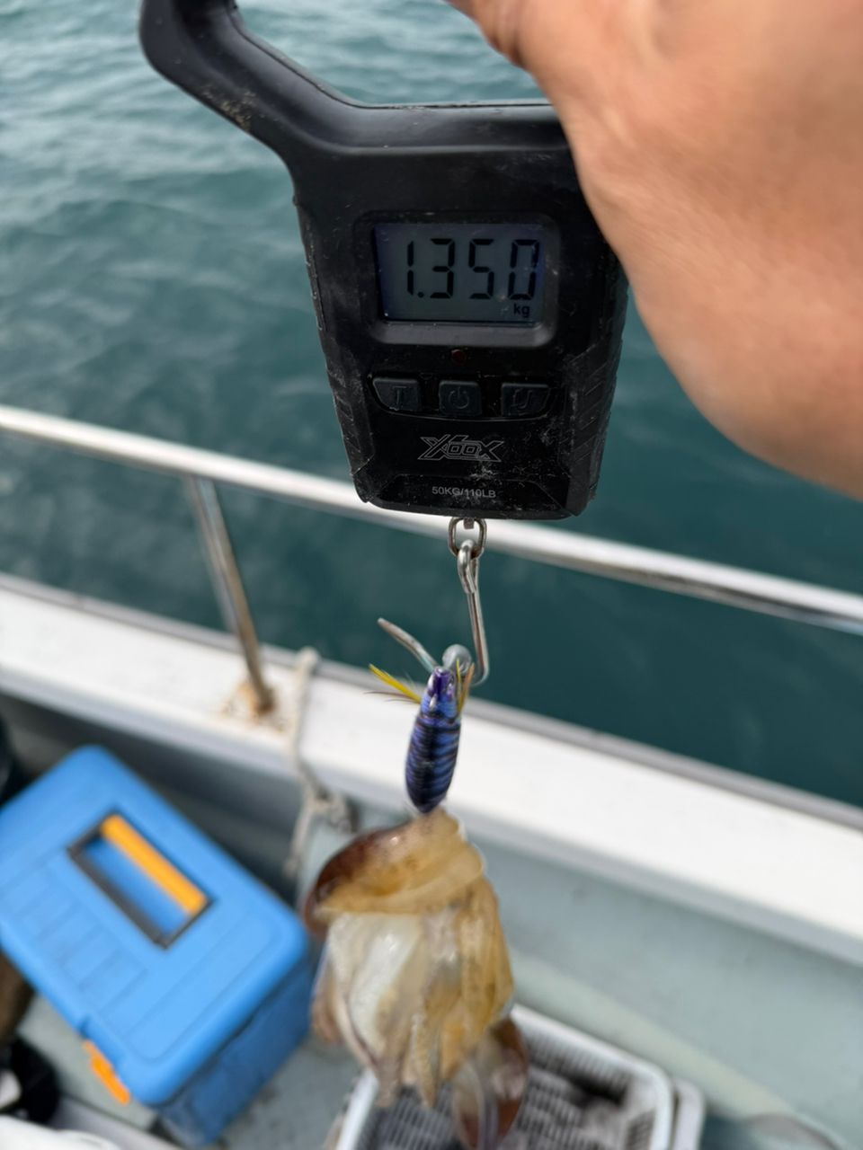 遊漁船supportさんの釣果 3枚目の画像