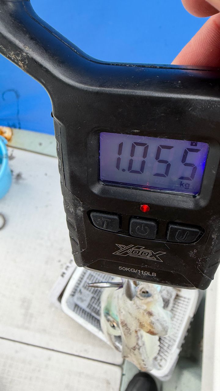 遊漁船supportさんの釣果 2枚目の画像