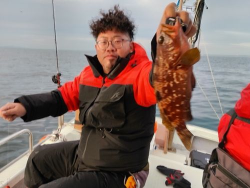 キジハタの釣果