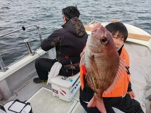 マダイの釣果