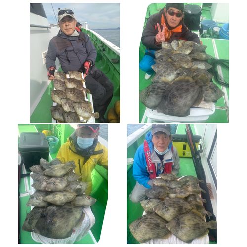 カワハギの釣果