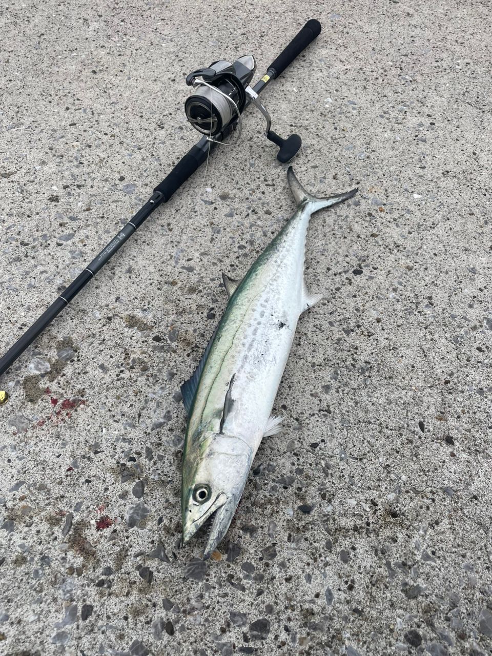 DAIWA 21ラブラックス AGS 93Mの最安値・インプレ・釣果 | 本音の