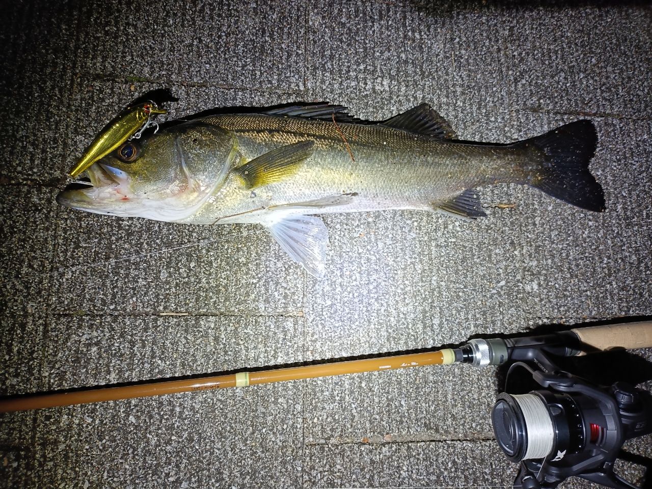 AbuGarcia ズームサファリ ZMSS-705MLの最安値・インプレ・釣果 | 本音