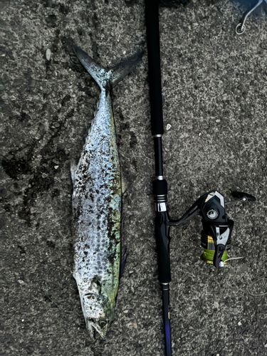 忠岡木材コンビナート