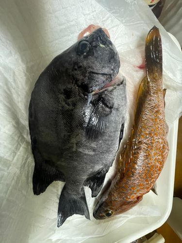 浜田港（島根）