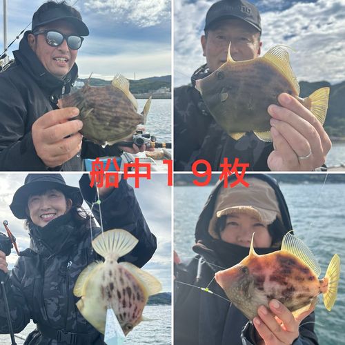 カワハギの釣果