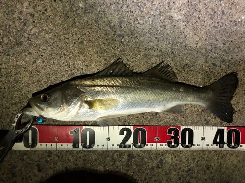 小名浜港市場前