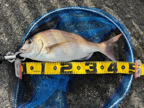 アジュール舞子