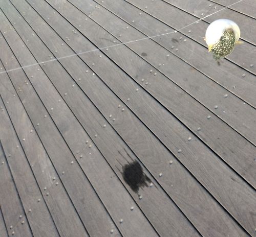 小名浜港アクアマリンふくしま周辺