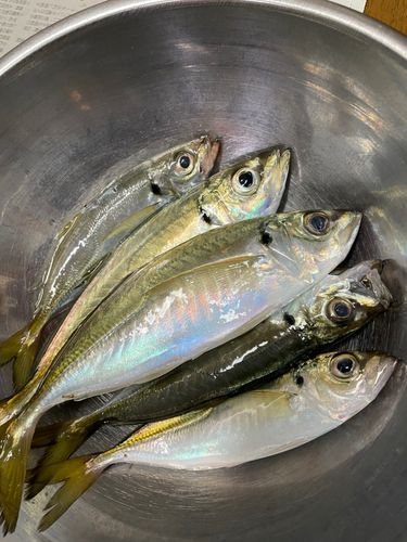 本牧海づり施設