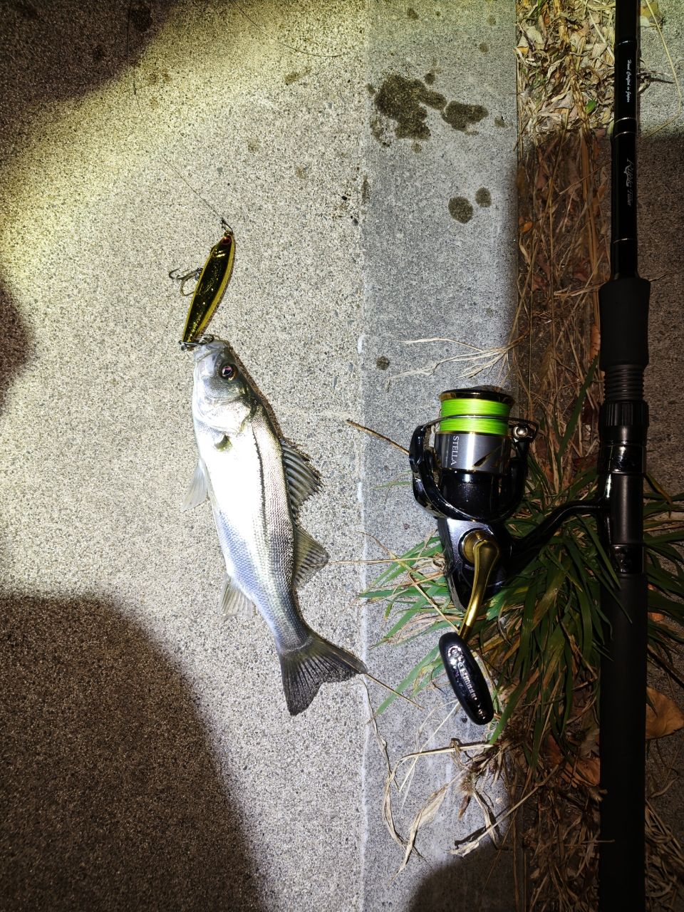 Ripple Fisher シルバーストリーム 96 Flowsの最安値・インプレ・釣果