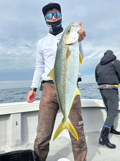 ヒラマサの釣果