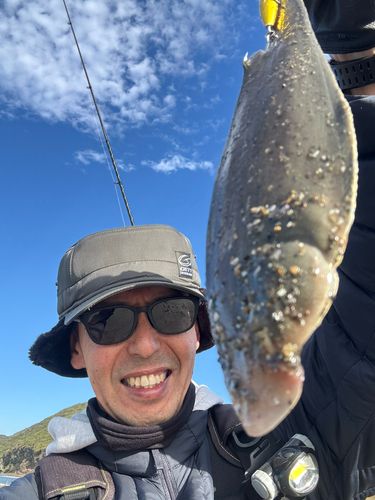 シタビラメの釣果