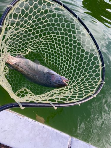 西武園ゆうえんちフィッシングランド