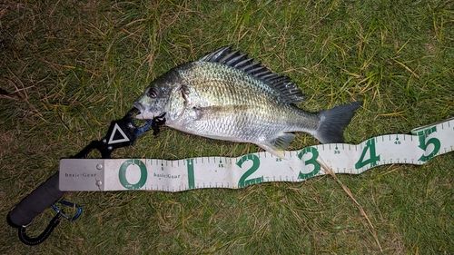 東京湾（アクアライン〜富津）