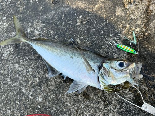 網代浜海水浴場