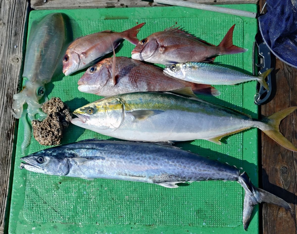 Yuokaさんの釣果 1枚目の画像