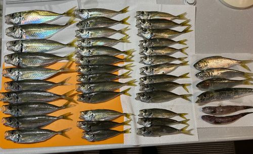 小名浜港市場前