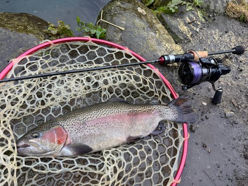 すそのフィッシングパーク