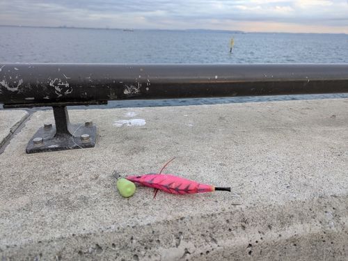 金沢水際線緑地（福浦岸壁）