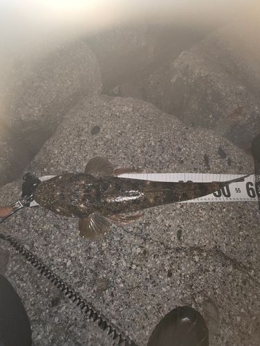 セントレア常滑港前島