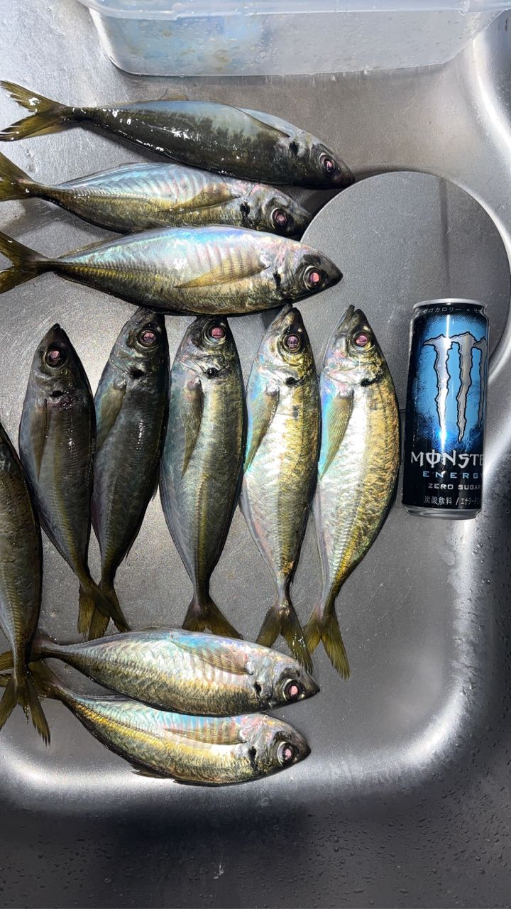 Gamakatsu ラグゼ 宵姫 華 弍 S72L-solidの最安値・インプレ・釣果