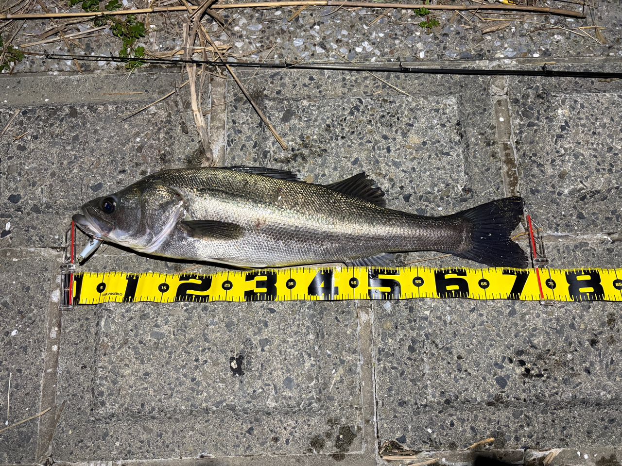 Daiwa 19ラテオ86ML•R 44072-featured-320x165.jpg