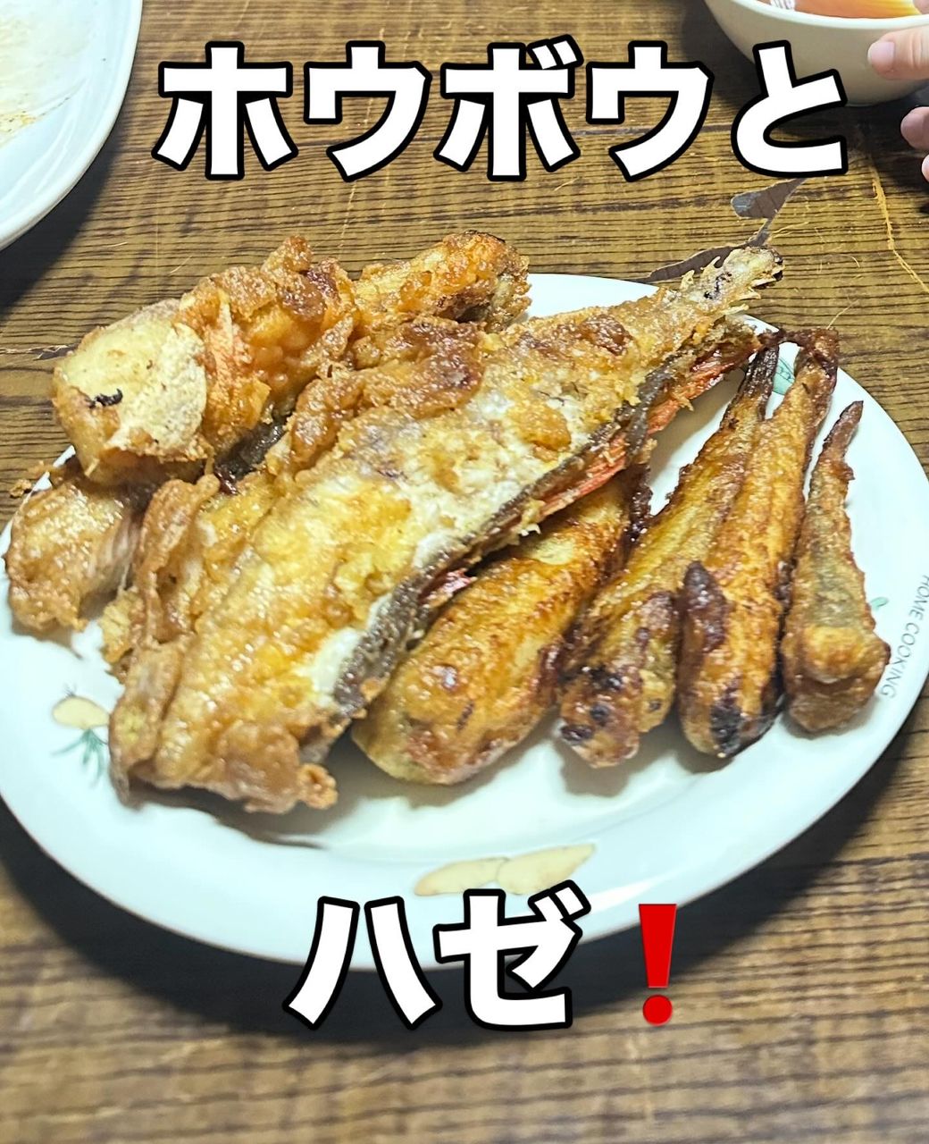 とんから食堂マニアクッス さんの 2025年10月28日のマハゼの釣り・釣果情報(宮城県 - 志津川湾) - アングラーズ | 釣果600万件 ...
