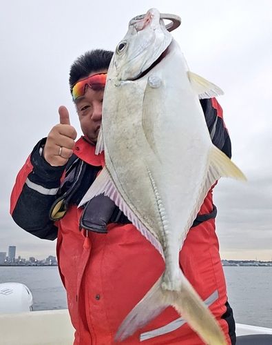 ロウニンアジの釣果