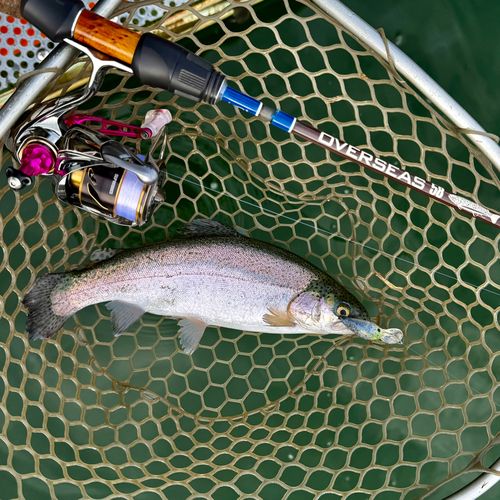 東山湖フィッシングエリア